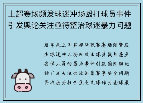 土超赛场频发球迷冲场殴打球员事件引发舆论关注亟待整治球迷暴力问题